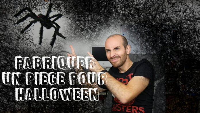 HalloweenSpider HalloweenSpider